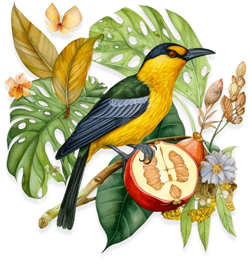 Bird, leaves, and fruits